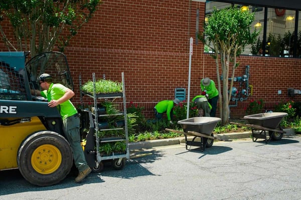 where-do-landscapers-get-their-plants-and-plant-material